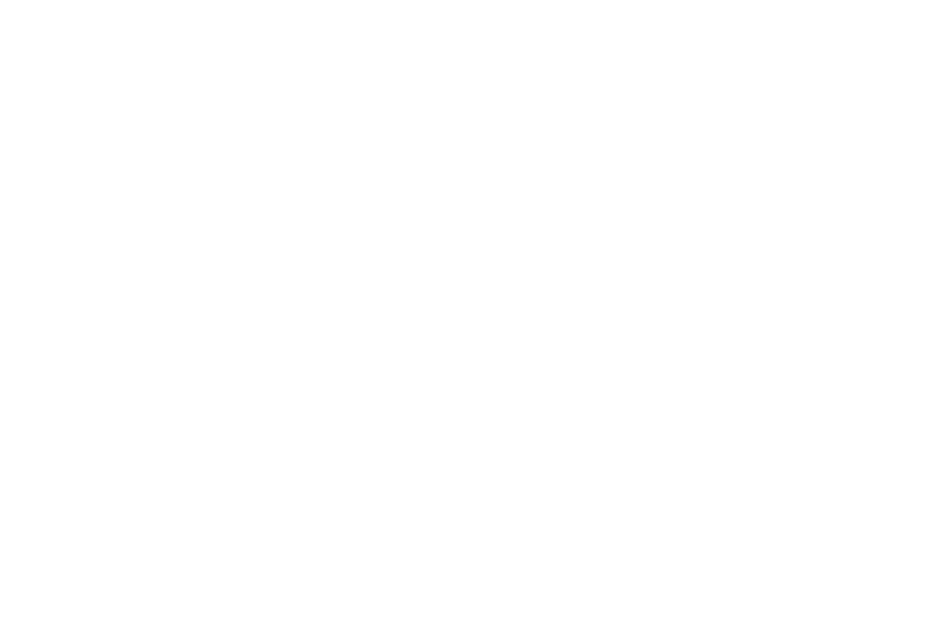 An abstract white vinyl bug decal for cars.